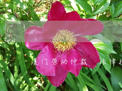 厦门劳动仲裁 法律援助 厦门劳动仲裁 法律援助